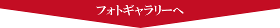 ギャラリー